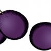 illustration of black plum
