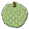 illustration of a sugar apple, a sweet pulpy fruit with a thick scaly rind and black seeds